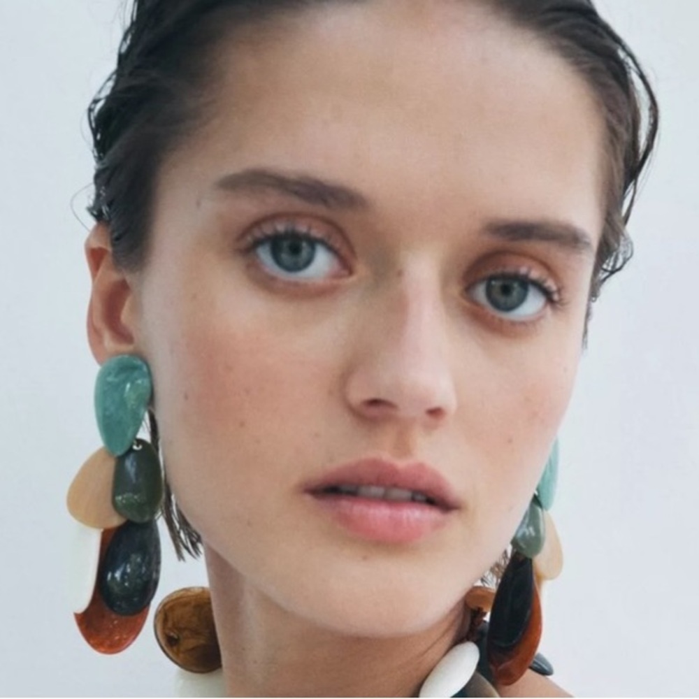 Zara NWT resin piece earrings 4736/087